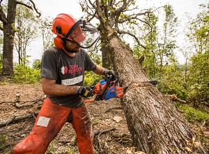 Photo 4 from ATLANTA COMMUNITY TOOLBANK INC